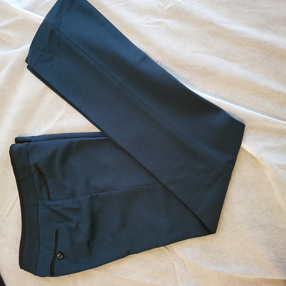 Express Pants